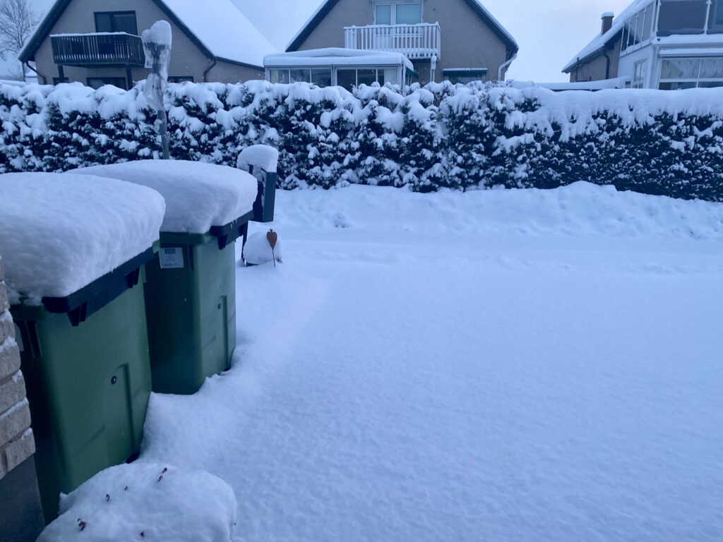 Bild på en snötäckt garageuppfart med två soptunnor till med 15 cm snö på.